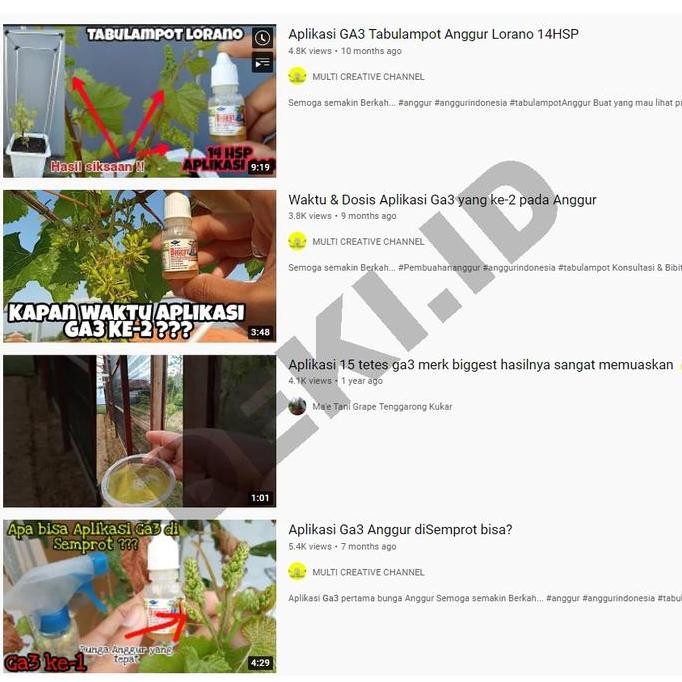 GA3 Bigest 40 EC 10 ml Hormon Giberelin Acid ZPT Tanaman Buah Anggur