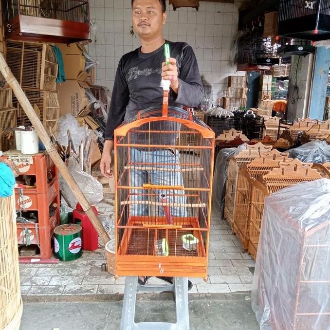 sangkar /kandang kotak Ebod no 3 warna coklat (gojek dan grab) murah