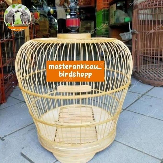 sangkar kandang tekukur rotan polos mentah favorite murah