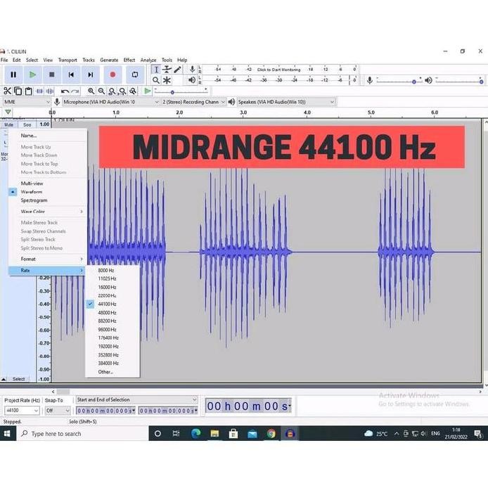 MP3 Masteran Burung - Audio Masteran Burung Fullset Tinggal Pakai dilengkapi 30 Suara Burung Pilihan