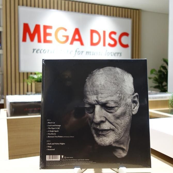 LP David Gilmour - Luck And Strange Album Vinyl Piringan Hitam PH Rare Koleksi Original