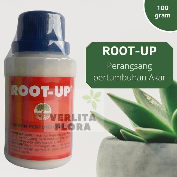 ZPT / Pertumbuhan akar Root Up