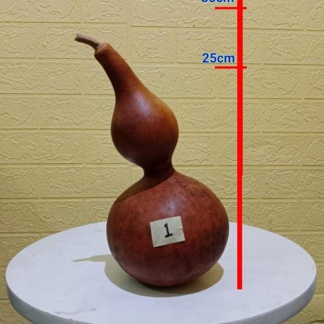 Labu botol | Labu botol kering | Labu botol china | drunken master | Bottle gourd | Labu botol asli 