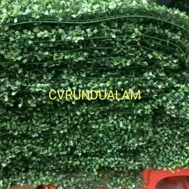 DR122>> DAUN DOLAR SINTETIS MERAMBAT Tanaman dolar rambat plastik