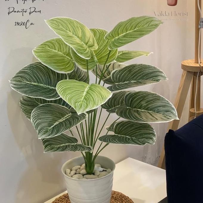 DF373>> DAUN AGLONEMA ARTIFISIAL 18 DAUN PLASTIK TANAMAN POJOK RUMAH BUNGA DEKORASI POJOK RUMAH MURA