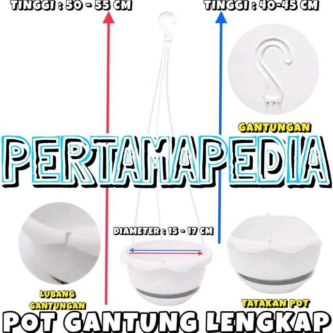 DY103 >> Bunga Plastik /Daun Rambat Plastik/ Busa Bunga/ Stormi Putih