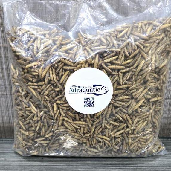New- Maggot Kering 500Gr Larva Bsf Magot Pakan Ikan Koi Burung Ayam
