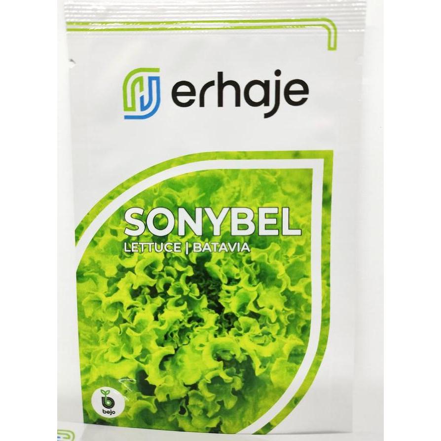 Benih Lettuce Batavia Bel Bejo Seed