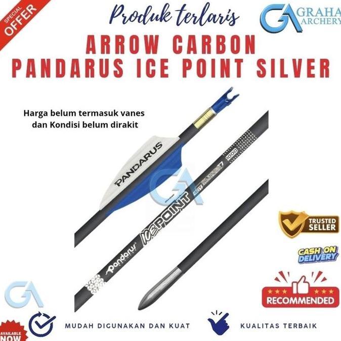 ARROW PANDARUS ICE POINT SILVER