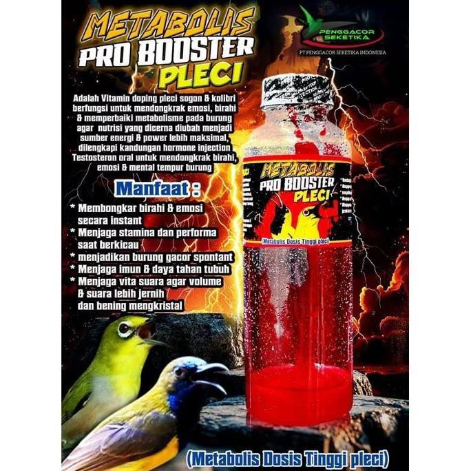 PRO BOOSTER PLECI JUARA METABOLIS DOSIS TINGGI PLECI