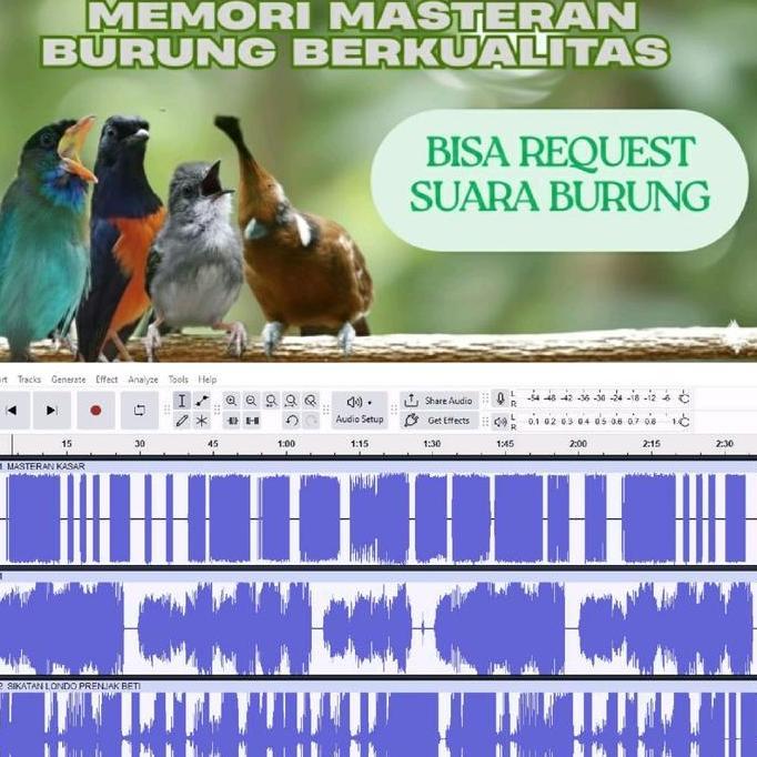 MEMORI MASTERAN BURUNG JERNIH
