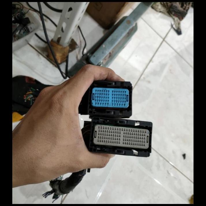 TERLARIS SOKET ECU GRAND NEW AVANZA 