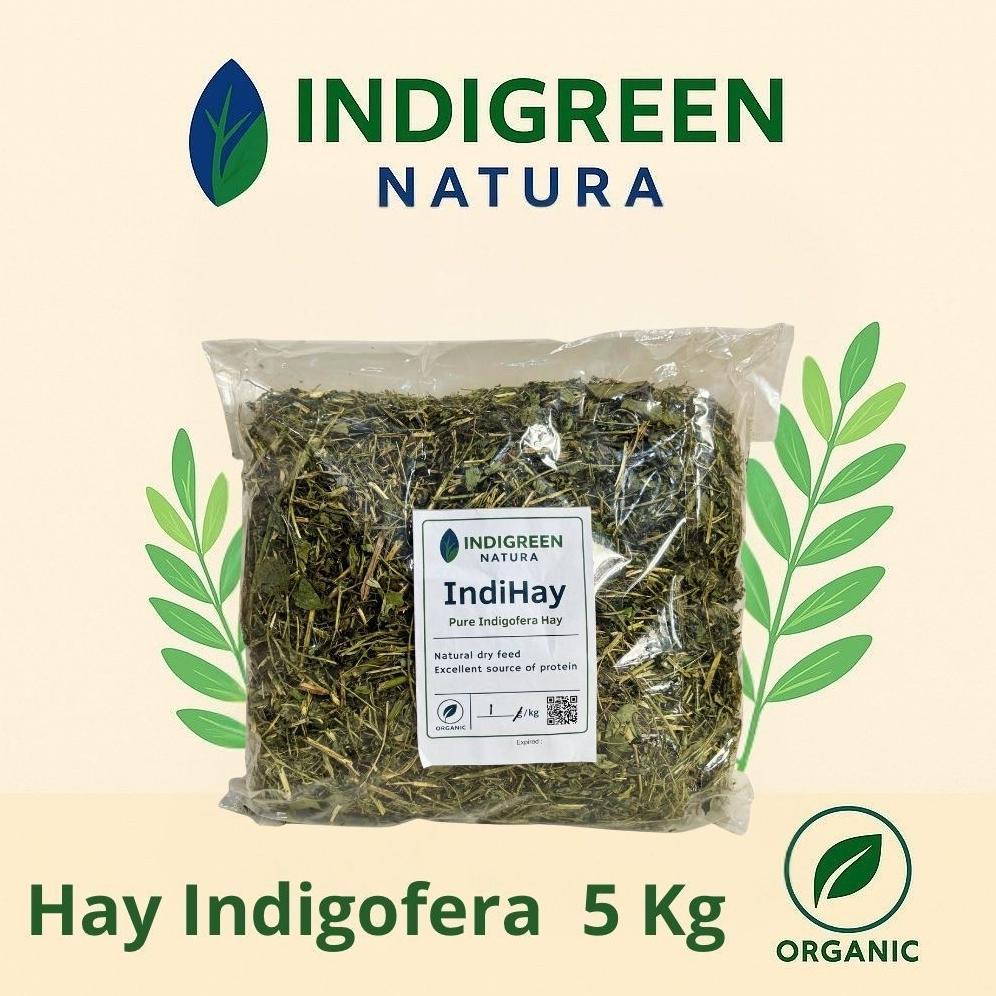 PROMO MURAH INDIHAY HAY INDIGOFERA KERING PAKAN HEWAN PAKAN TERNAK PAKAN KELINCI SAPI DOMBA KAMBING 