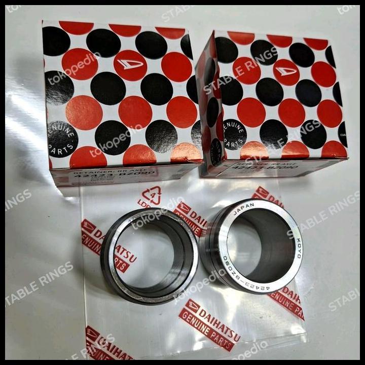 TERLARIS CONES BEARING GRAND MAX/42423-BZ090 