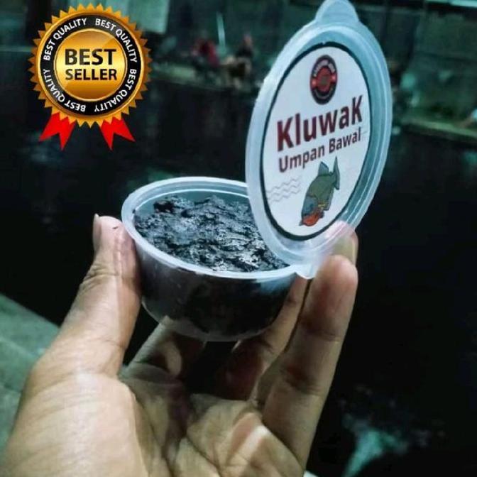 Kluwak KLUWEK fermentasi