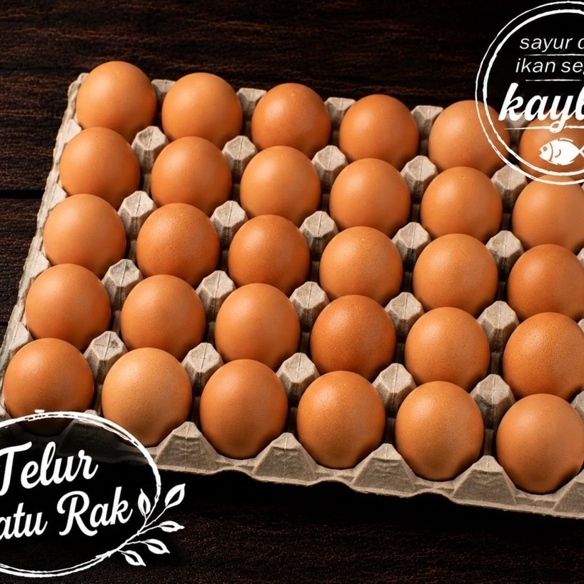Telur 1 Rak