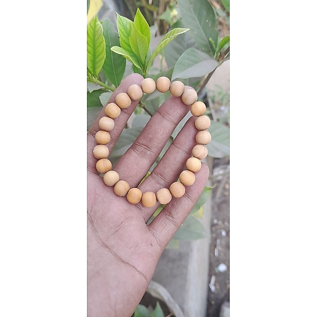 gelang cendana kupang.ntt