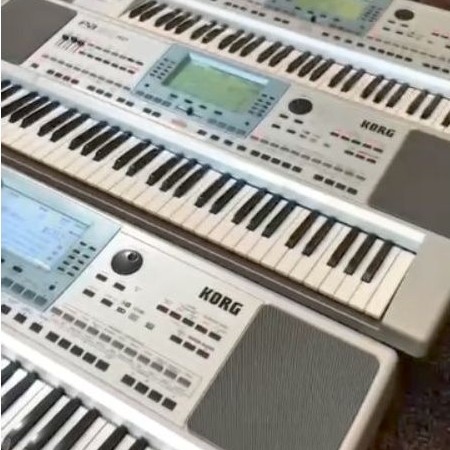 style pa50 SD pa500