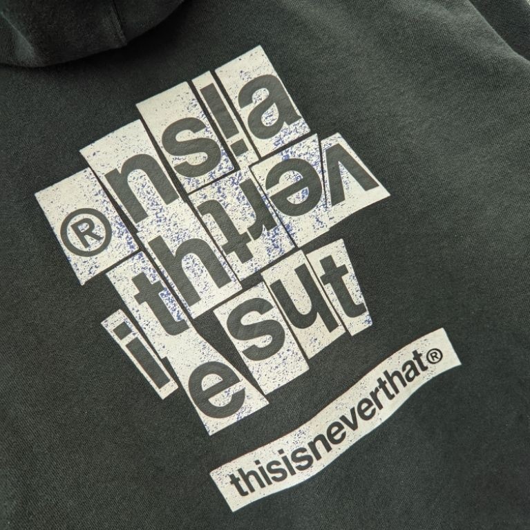 link hoodie tnt