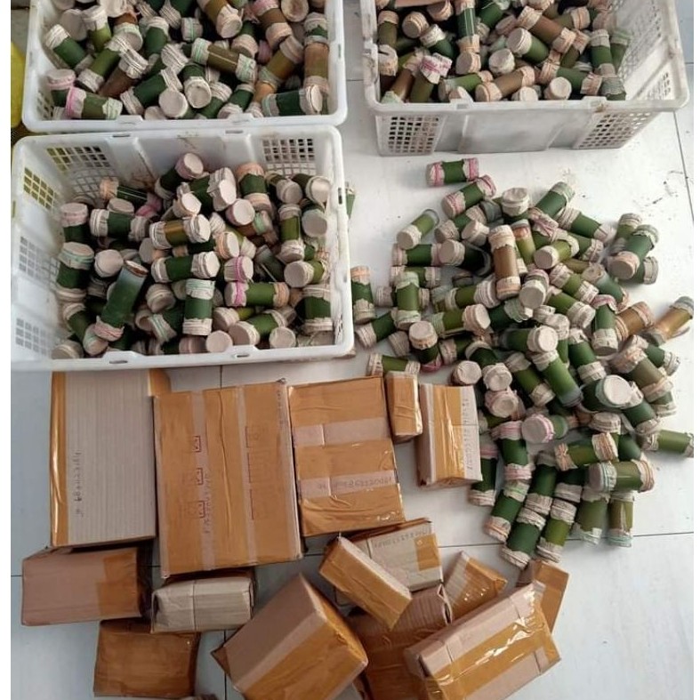 ulat bambu isi 25/umpan memancing