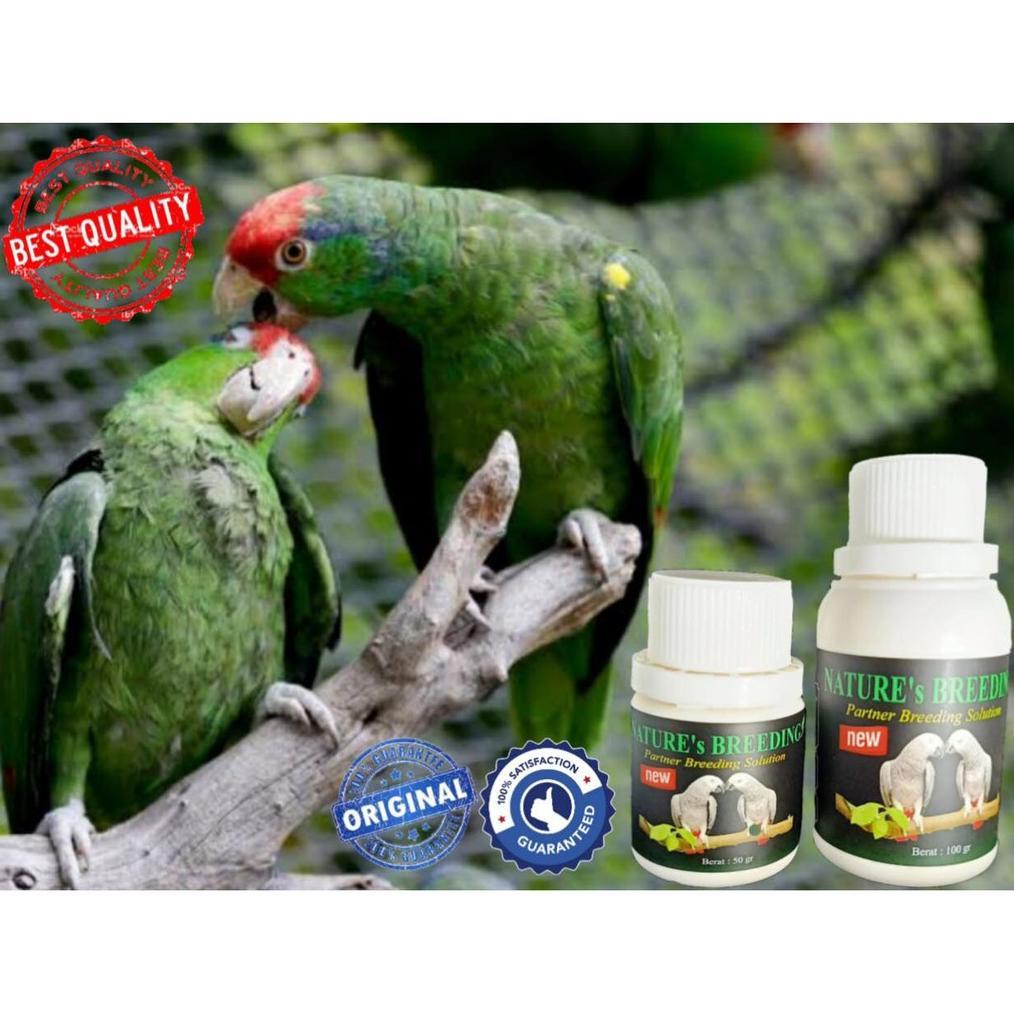 [BEST] NATURE BREEDING VITAMIN TERNAK BURUNG