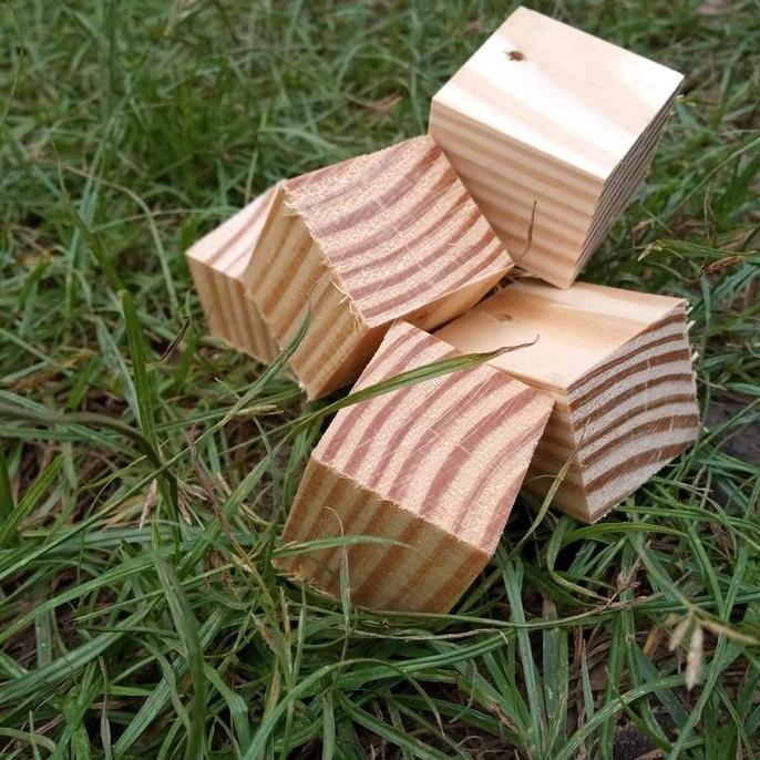 Kayu Jati Belanda Potongan Dadu Ukuran 3X3X3