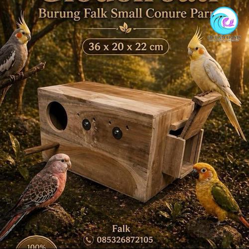 GLODOK KAYU JATI FALK COCKATIELS  PINEAPPLE CONURE PARROT FINISHING HALUS SS