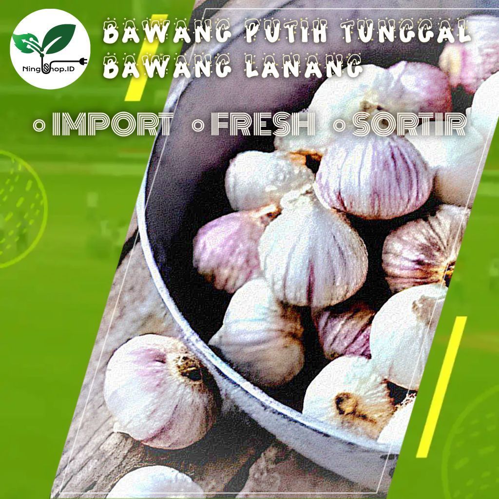 BAWANG PUTIH TUNGGAL / BAWANG LANANG 1KG HERBAL SUPER PREMIUM 100G, 250G, 500G, 1000G
