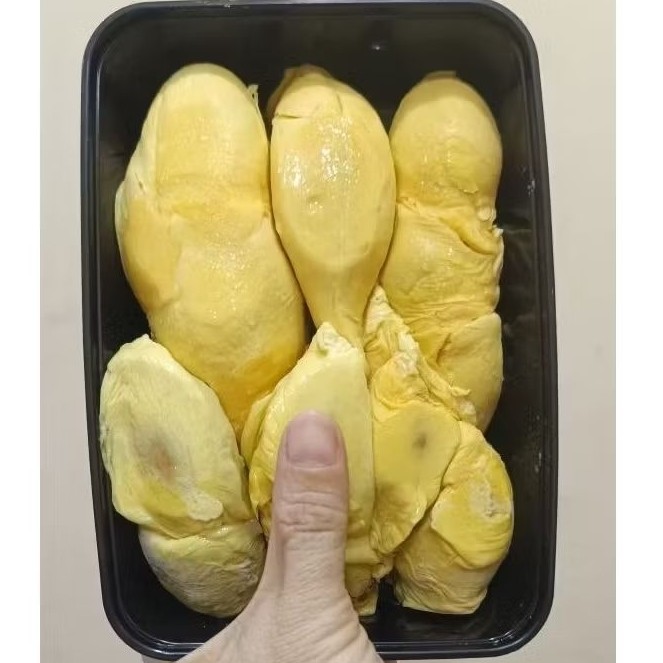 TERWANGI Durpas Nias Premium/Durian Medan Frozen/Duren Medan Black Box Beku gram Matang Pohon Jamin 