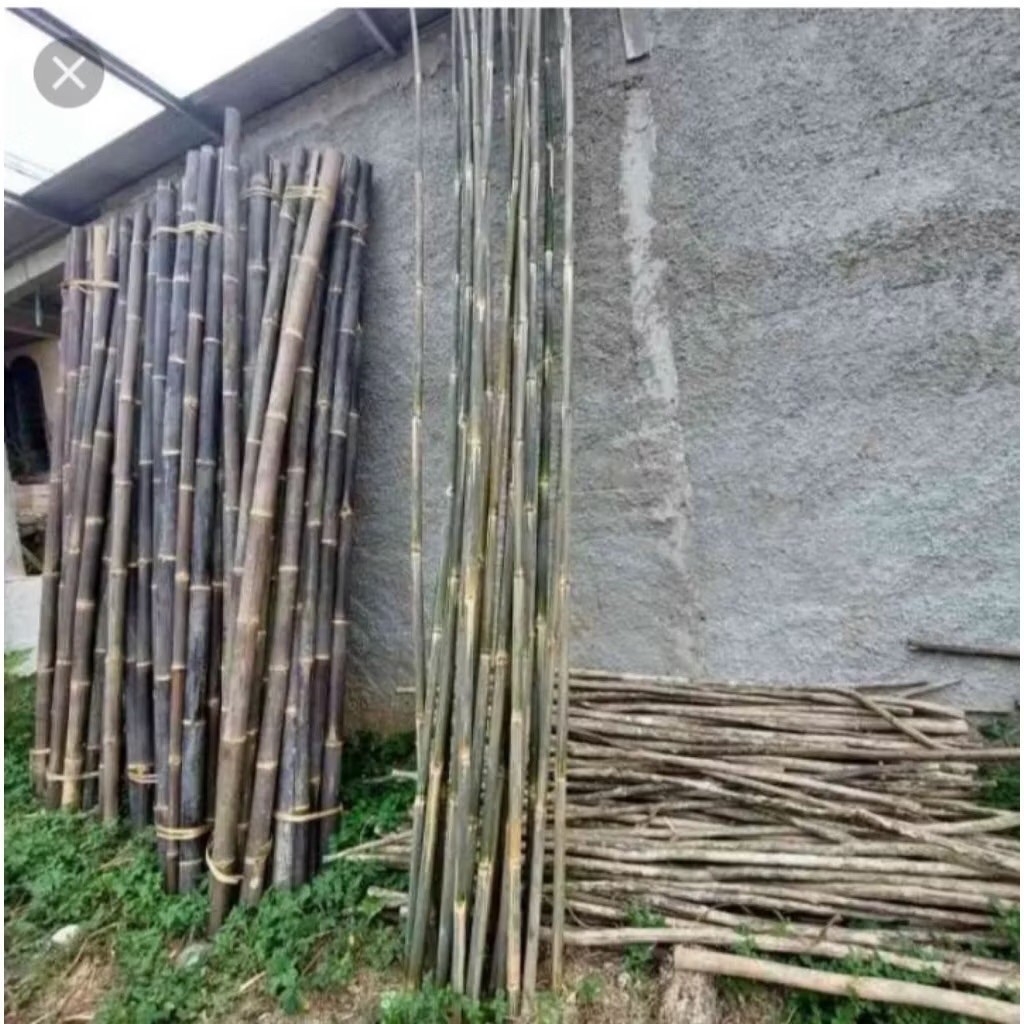 ekslusif bambu umbul umbul panjang 4 meter siap kirim