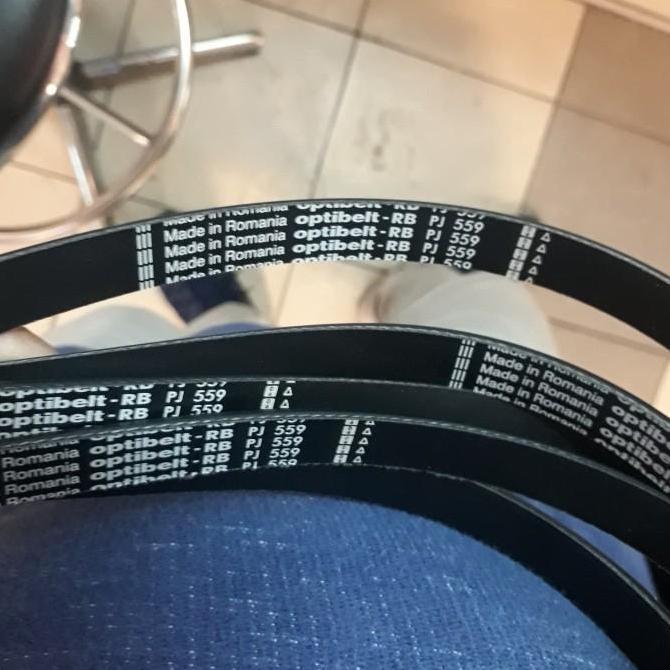 V-Belt Belt Optibelt PJ559 PJ 559 7Jalur
