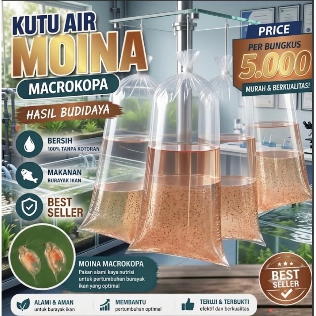 Starter Kultur kutu Air t / moina macrocopa / Starter Kultur Kutu air