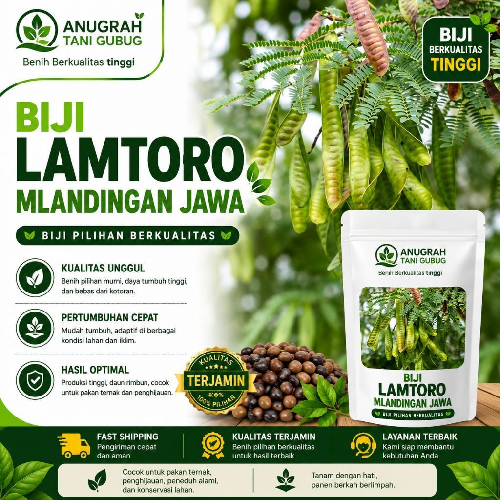 200 BIJI BENIH LAMTORO MLANDING MLANDINGAN TARAMBA SUPER JAWA