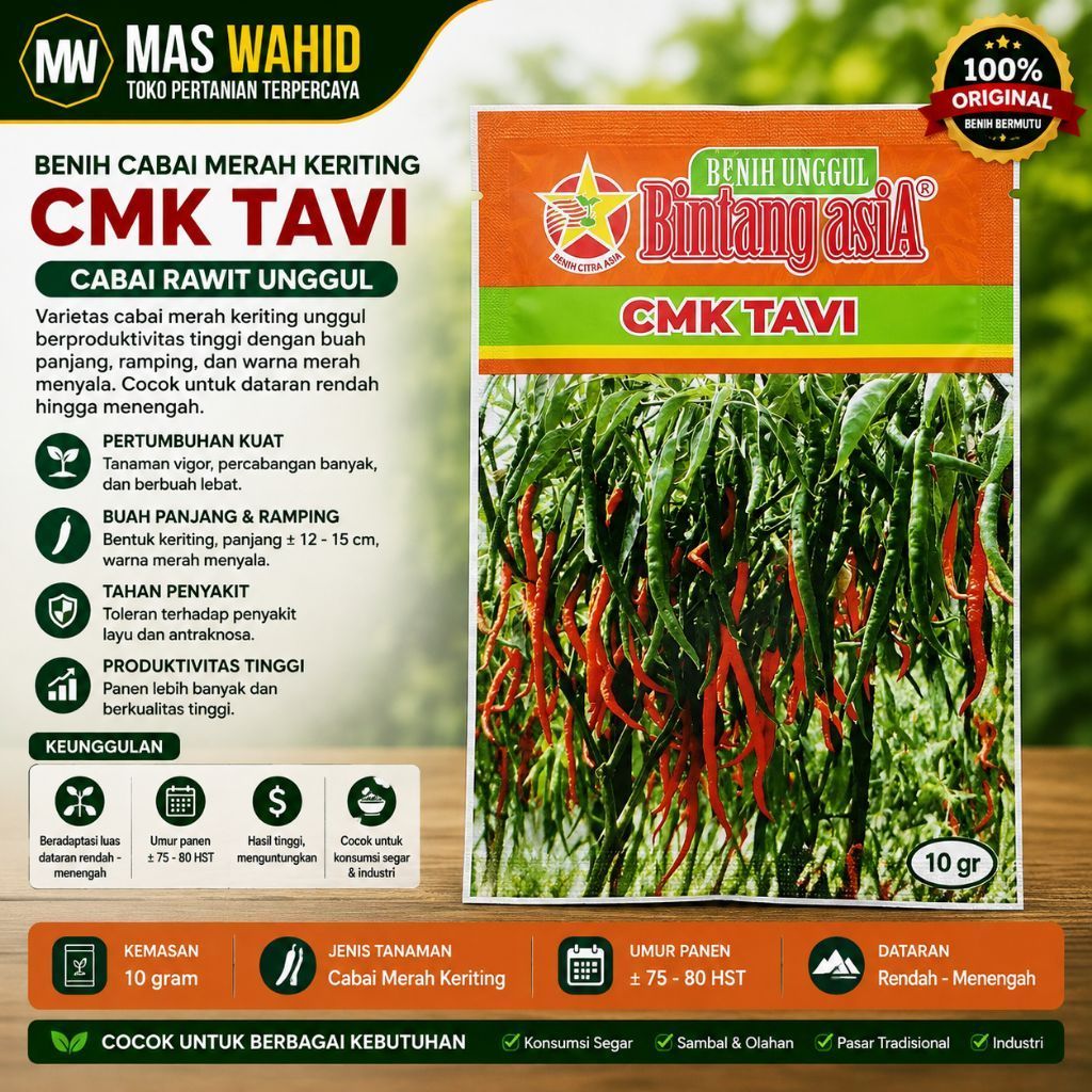 BENIH CMK TAVI 10 GRM CABAI KERITING ORIGINAL BINTANG ASIA