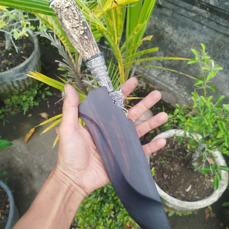 seselet bali
