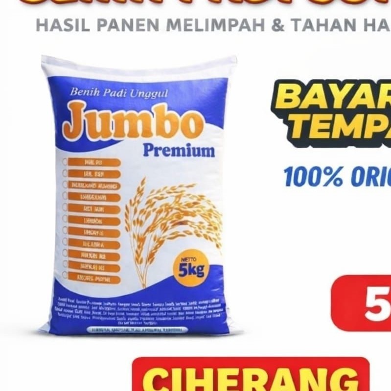 BIBIT PADI CIHERANG JUMBO KEMASAN 5KG
