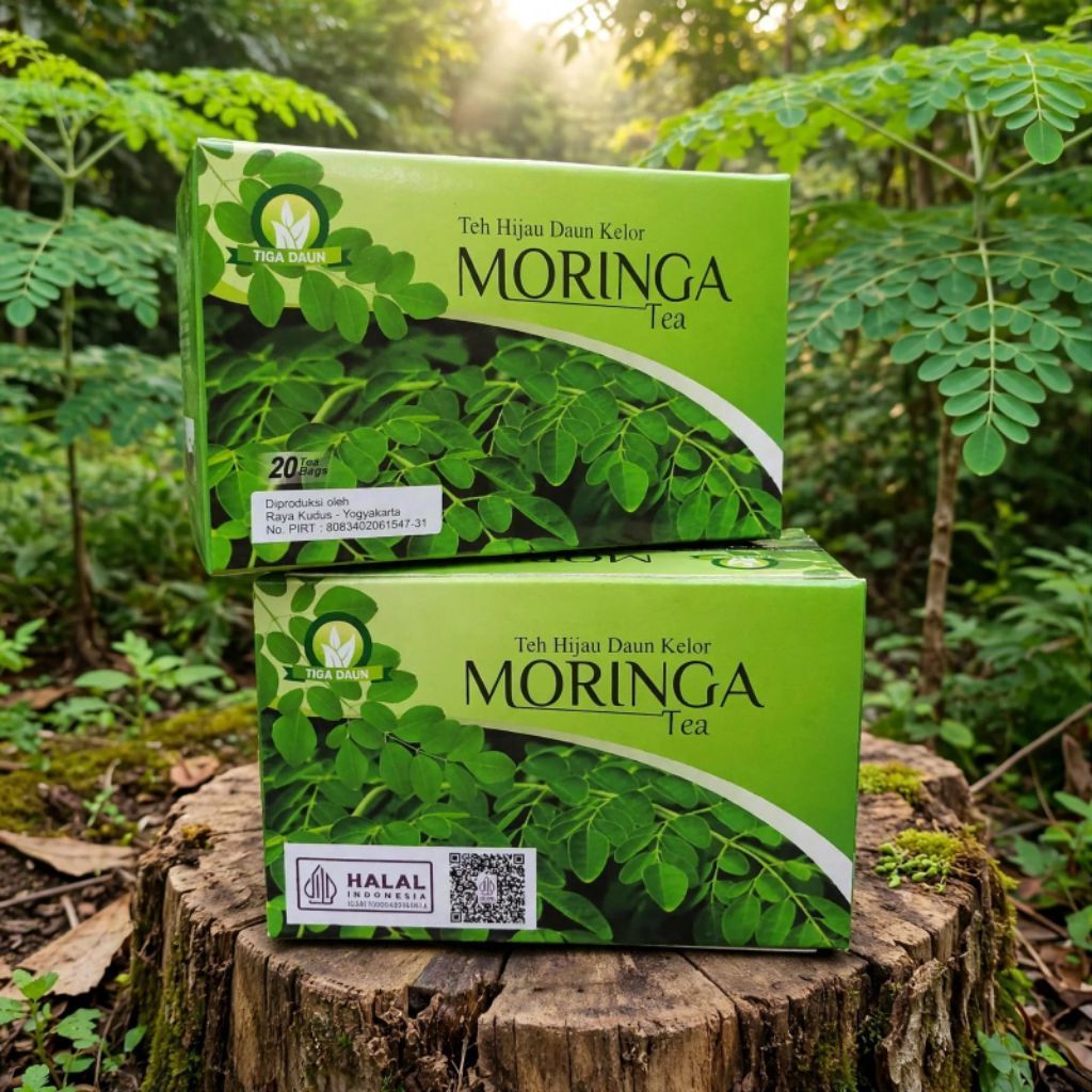 MORINGA TEA | TEH HIJAU CELUP DAUN KELOR MORINGA