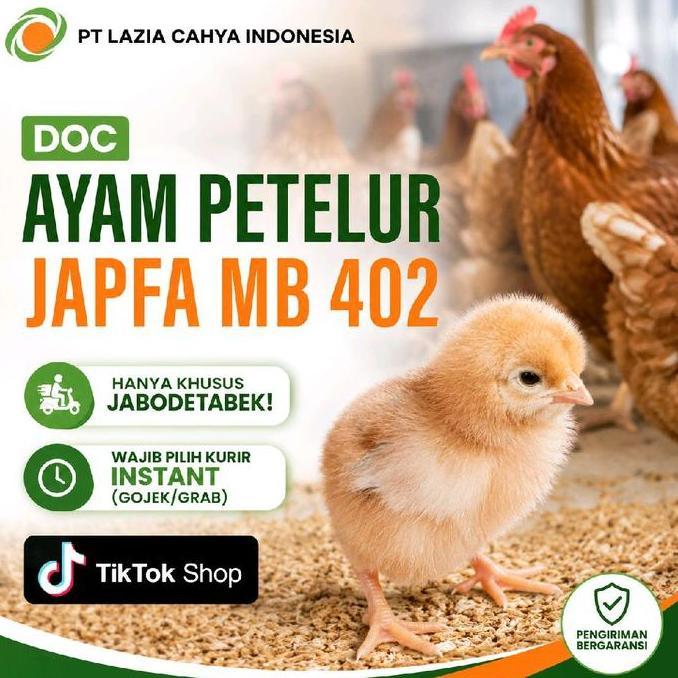 DOC Ayam Petelur PT Japfa MB 402 Super
