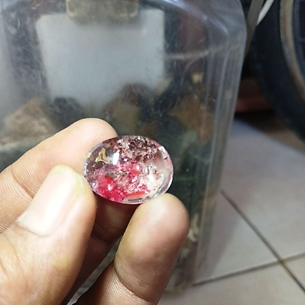 BATU KINYANG KARANG/KECUBUNG KARANG
