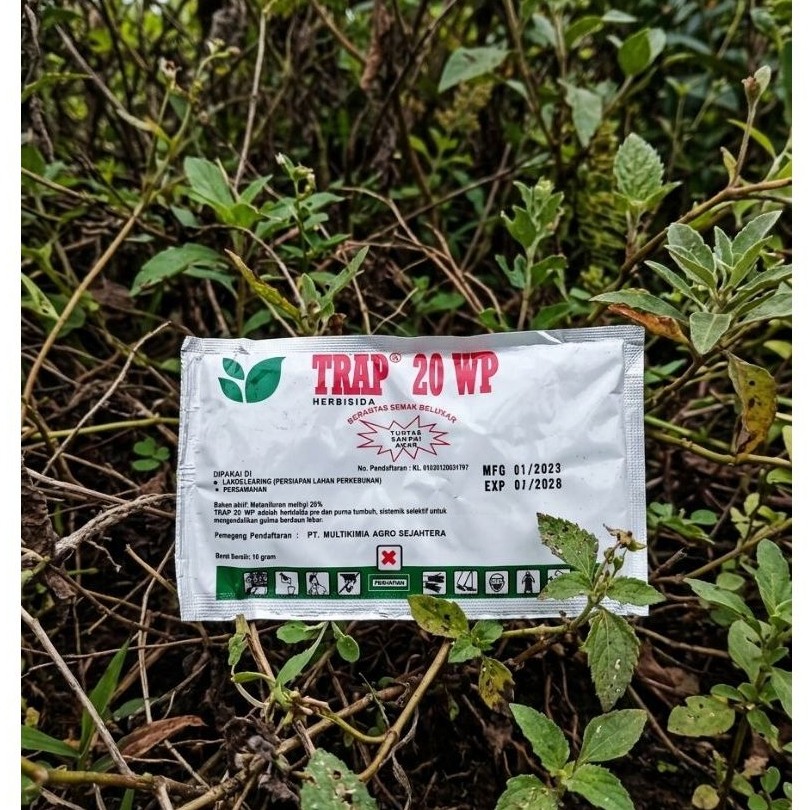 TRAP 20wp Herbisida 10gr