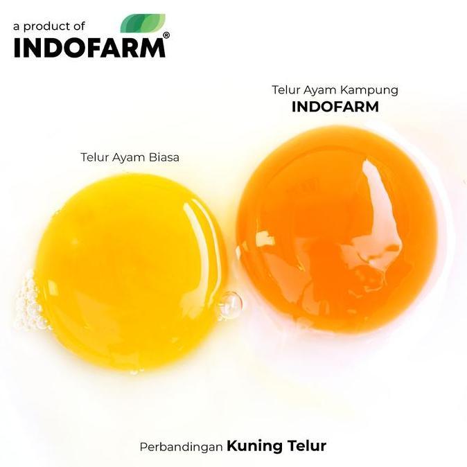 Indorasa- Indofarm Telur Ayam Kampung Omega 20 Butir