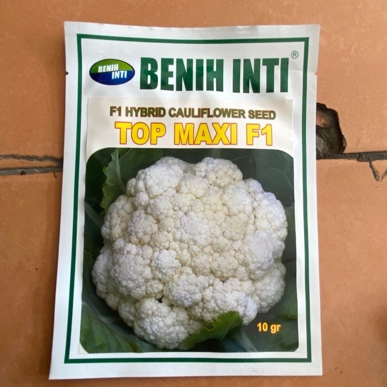 Benih Inti F1 Hybrid Cauliflower Seed Top Maxi F1 10 gr benih kol putih