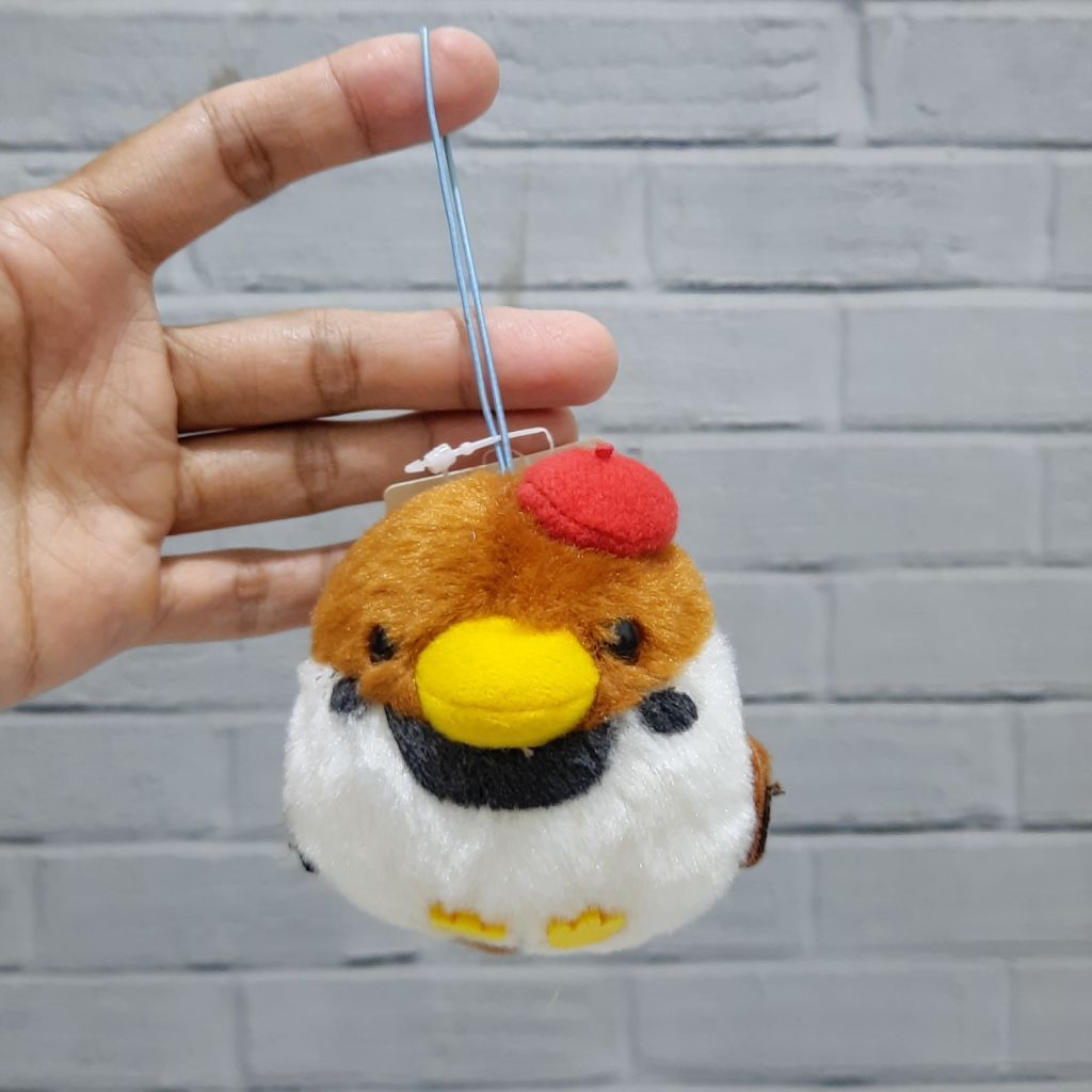 Ganci Burung AMUSE