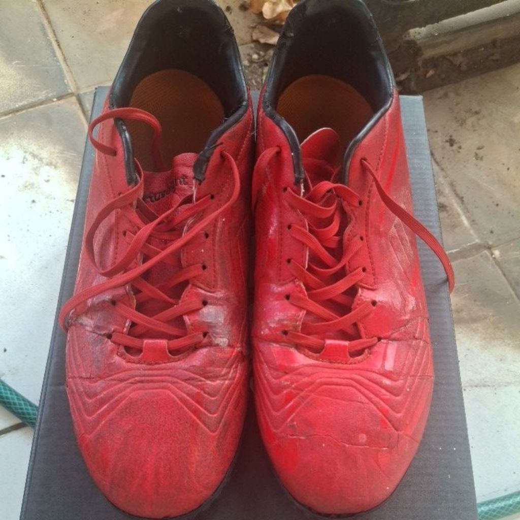 ortuseight preloved