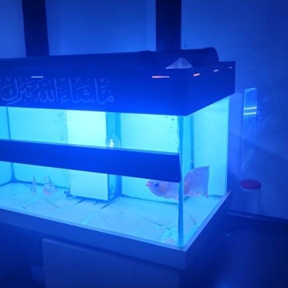 HPL PADEK LED AQUARIUM LAMP 60 LED eyes (60 watts) 30,000k 100cm -120cm