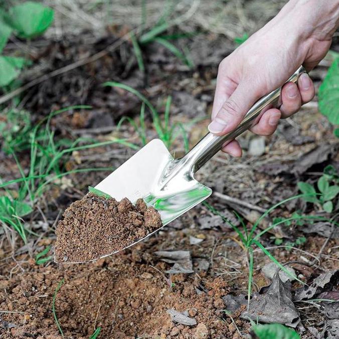 Ratu_seller428 - Sekop Kecil Dari Baja Tahan Karat, Alat Berkebun, Sekop, Sekop Sukulen, Menanam Bun