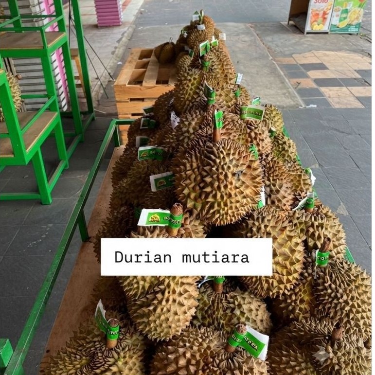 DurianMonthongUtuh