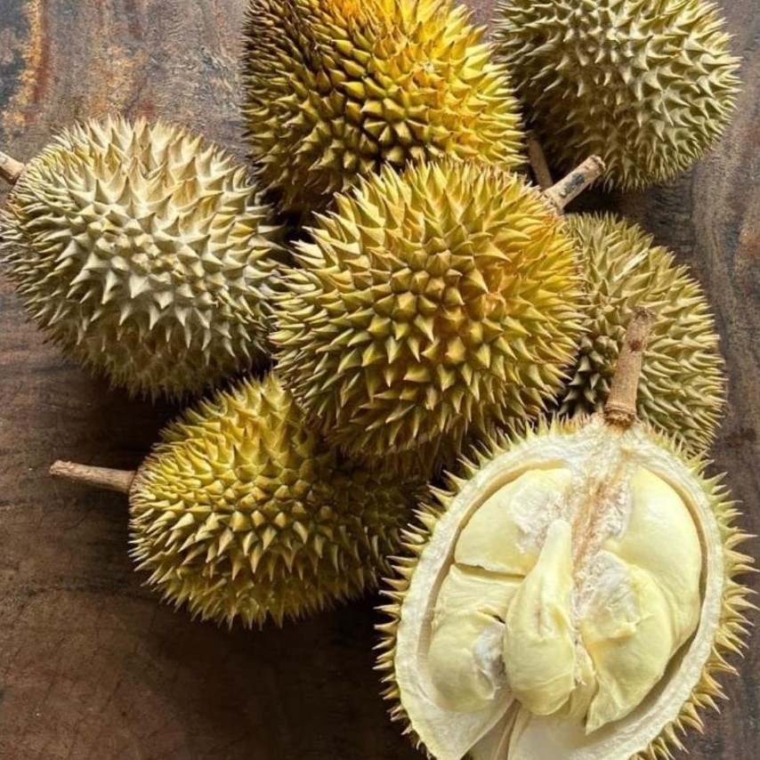 durian lokal 1 buah utuh / durian Medan 1 buah utuh / durian lokal Medan 1 buah utuh