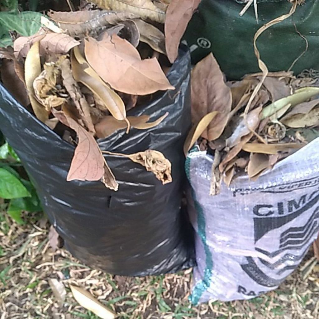 Daun Kering (Media Tanam/Campuran Kompos)