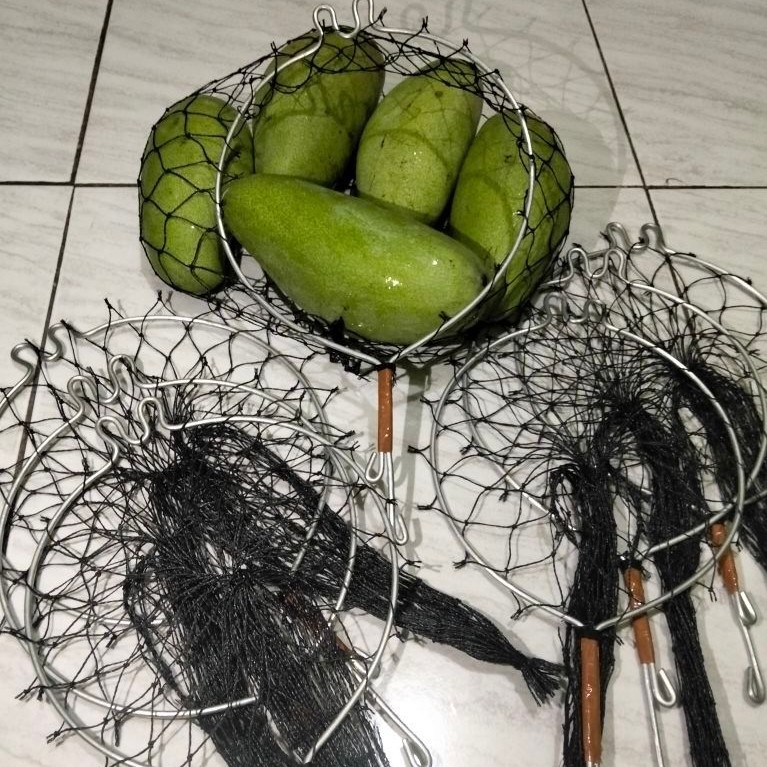 alat petik buah tinggi buah mangga alpukat dll